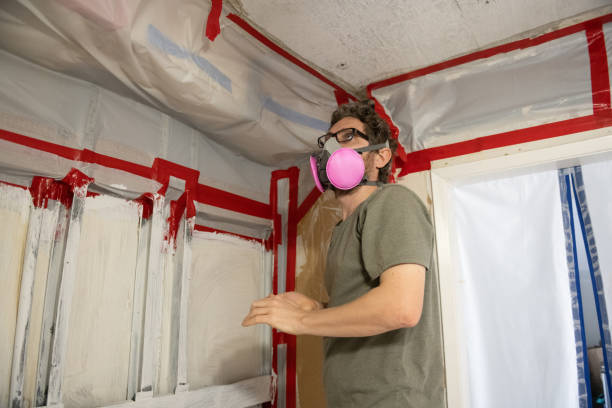 Best Residential Mold Inspection & Testing  in Sun City Center, FL
