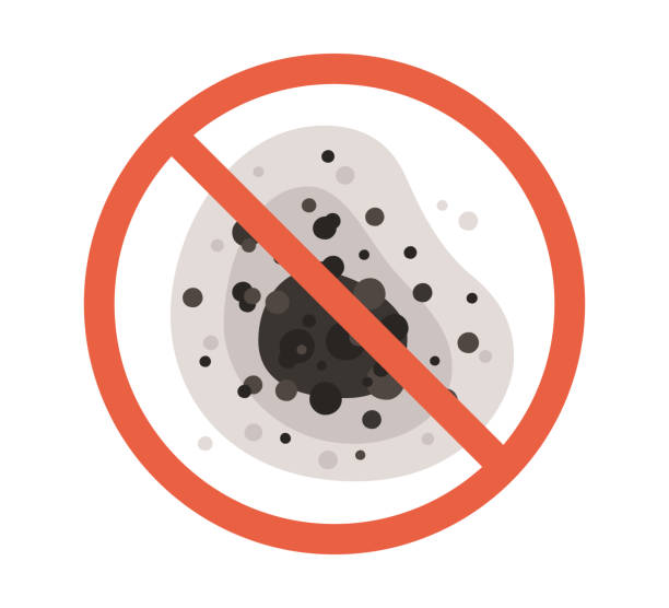Best Environmental Consulting for Mold Prevention  in Sun City Center, FL