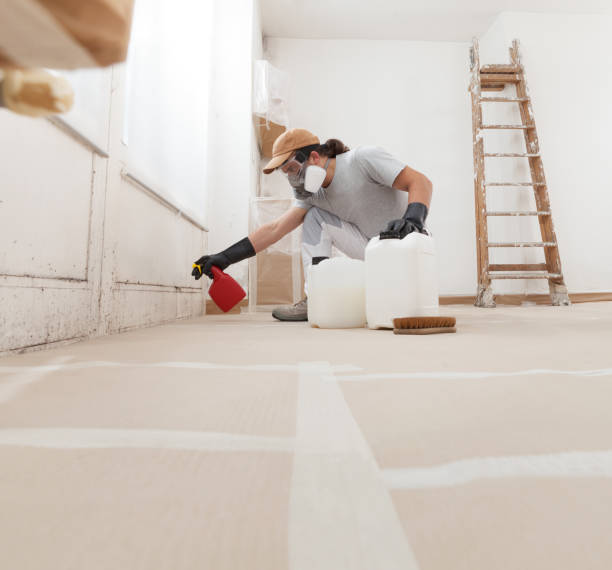 Best Asbestos and Lead Testing During Mold Inspection  in Sun City Center, FL