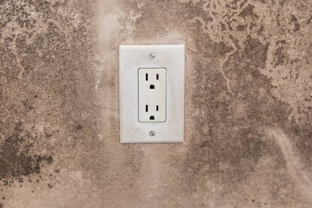 Best Post-Construction Mold Inspection  in Sun City Center, FL